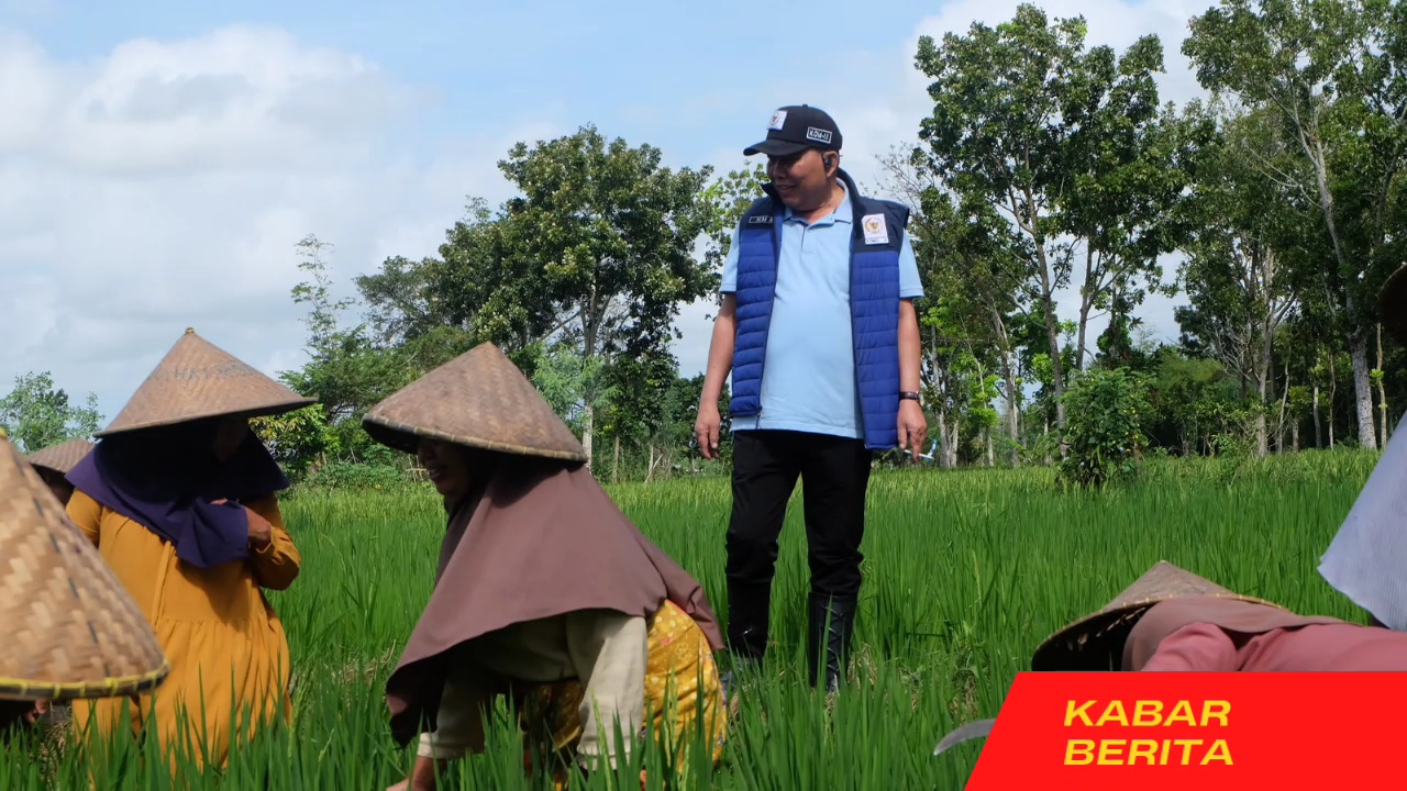 Turun Temui Petani, Mu’azzim Akbar Dorong Penguatan Harga dan Akses Pertanian