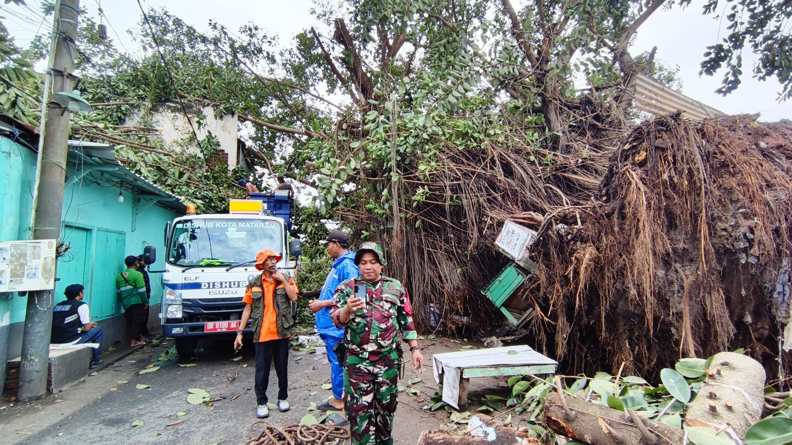 Beringin Tumbang di Ampenan, Dua Rumah Warga Rusak