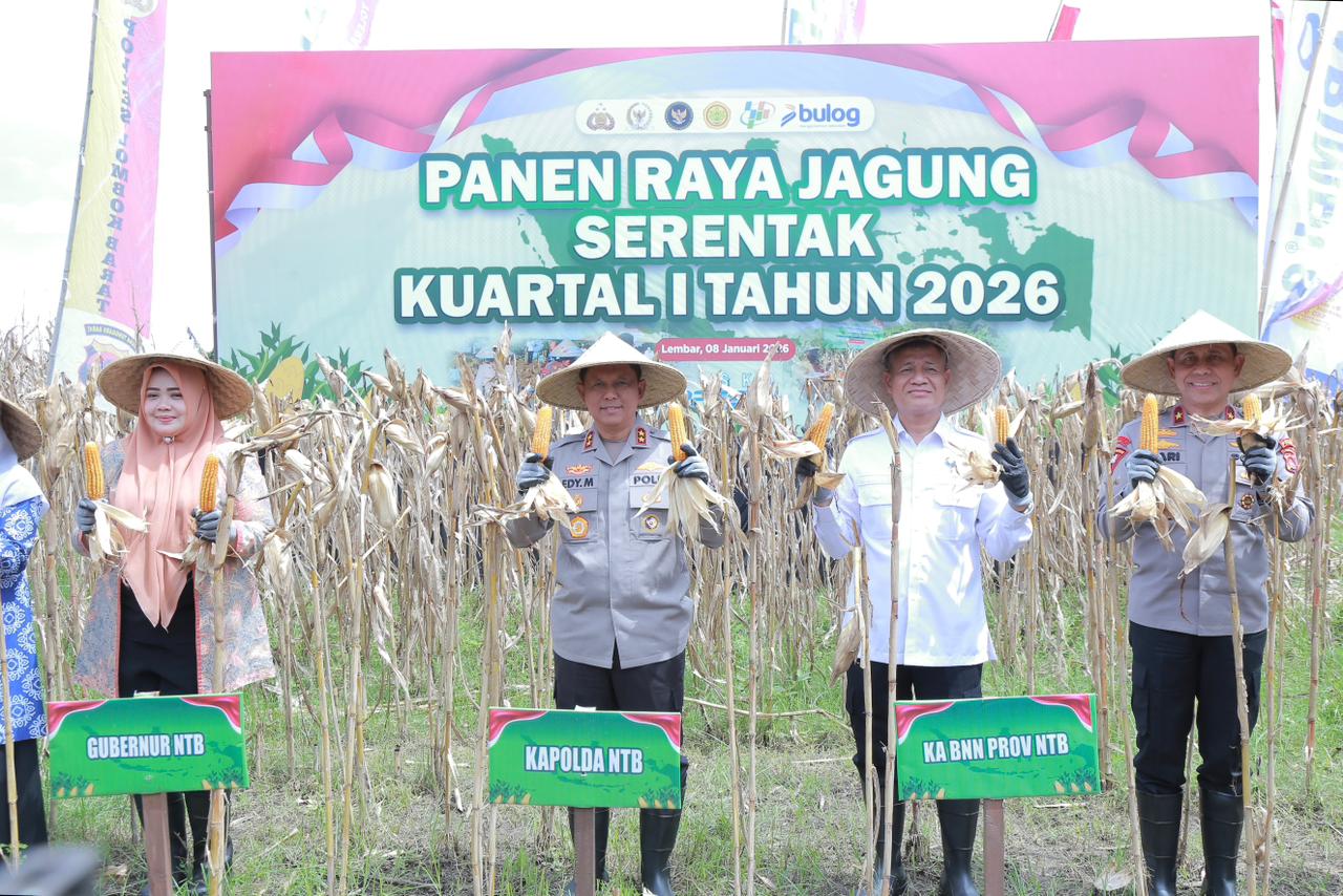 Panen Raya Jagung Serentak 2026, Kapolda NTB Ajak Petani Jaga Ketahanan Pangan