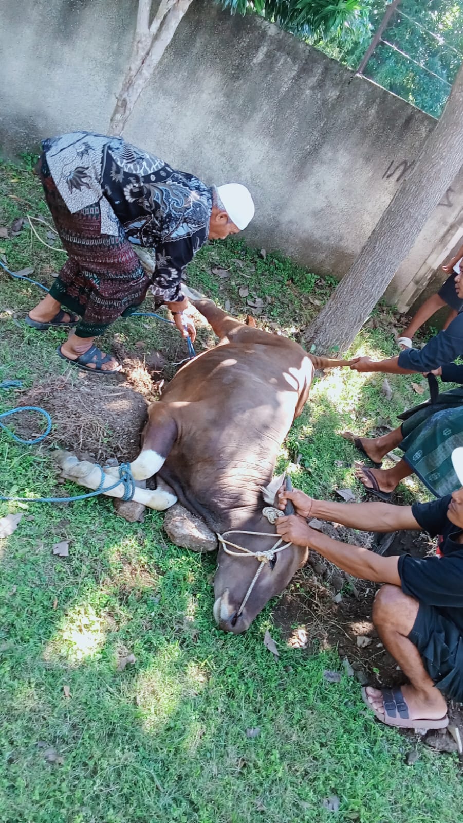 Warga Non Muslim Ikut Berkurban, Idul Adha di Graha Majapahit Jadi Potret Indah Toleransi